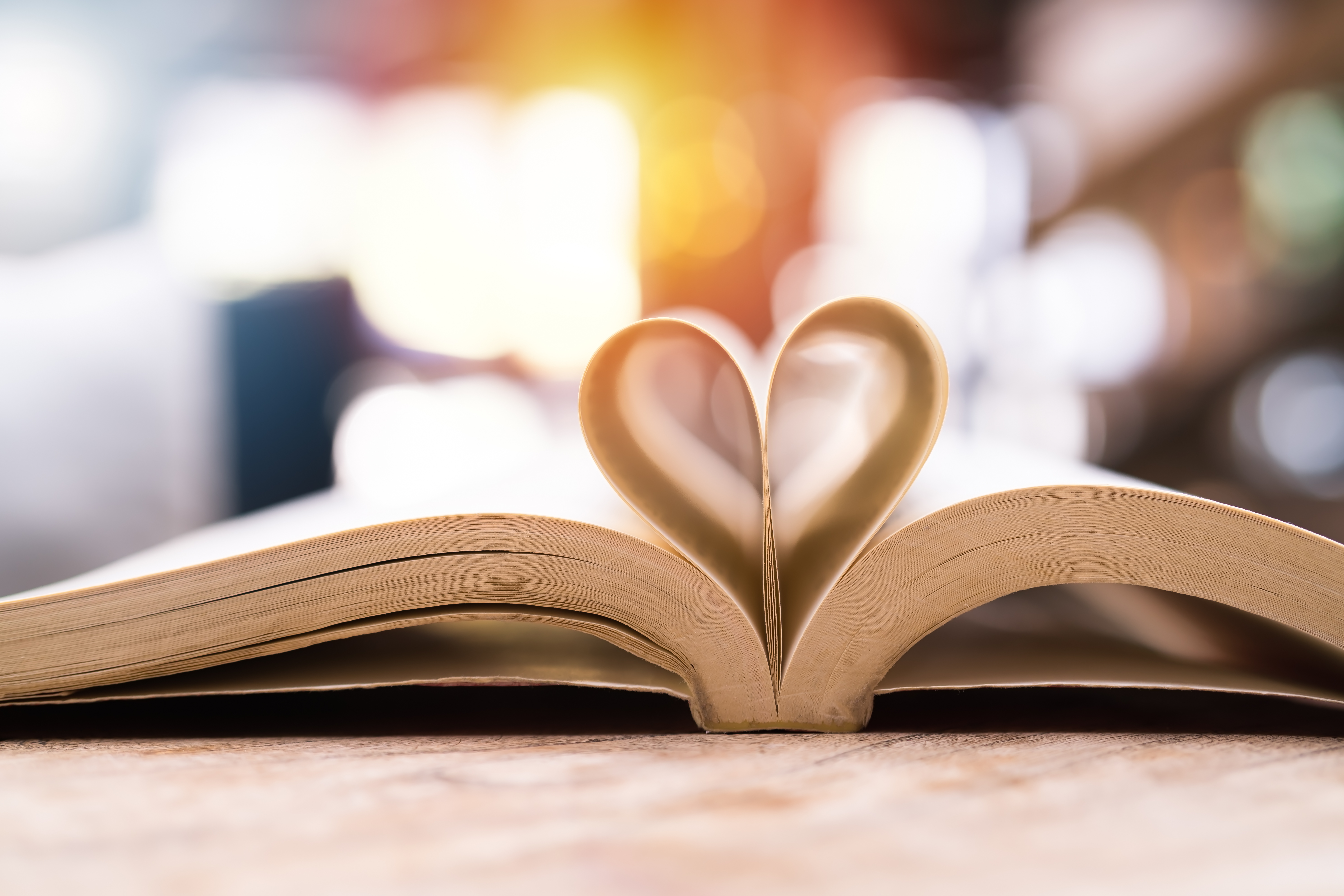 book in heart shape, wisdom and education concept, world book an