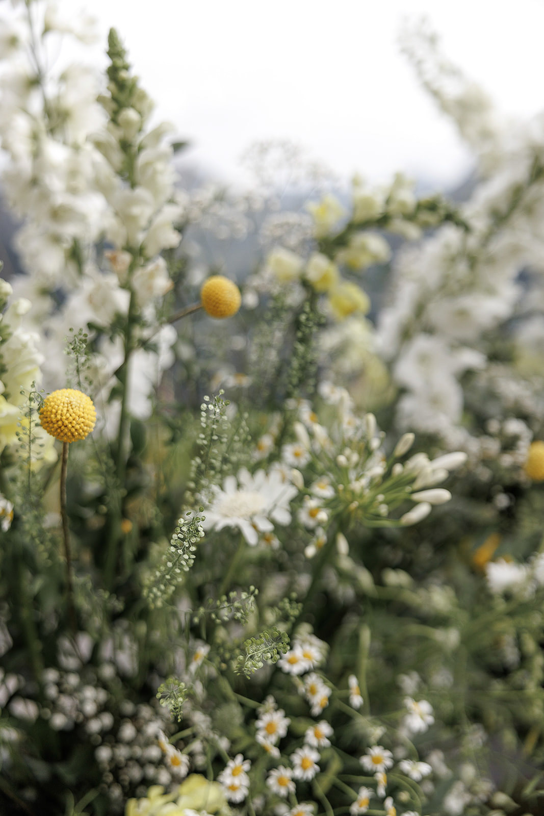 Stimmungsvolle Hochzeit mit floraler Gestaltung und liebevollen Details von den Hochzeitsfeen